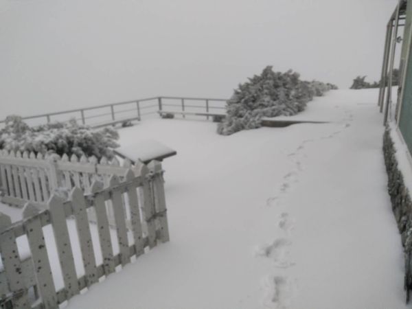 ▲▼玉山降雪。（圖／中央氣象署）