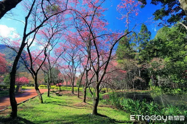 ▲奧萬大於除夕將休園，與合歡山今明2天暫停住宿。（圖／林業保育署南投分署提供，下同）