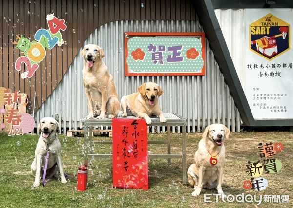 ▲即將迎來農曆新年，除家家戶戶忙著除舊佈新外，台南市消防局搜救犬隊的狗狗們，已準備好與大家一同迎接新年。（圖／記者林東良翻攝）