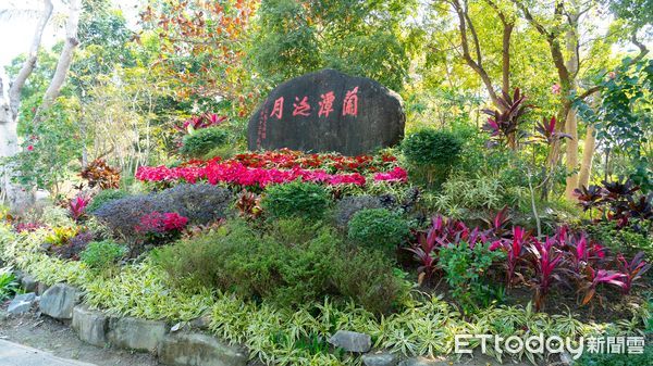 ▲▼ 嘉市春節起迎花季 炮仗花絕美花瀑搶先盛放   。（圖／嘉義市政府提供）