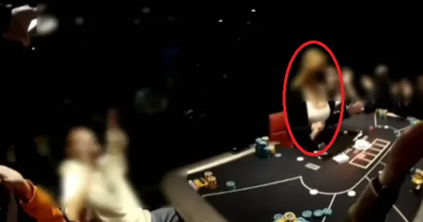 ▲▼             。（圖／）