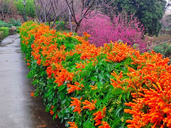 ▲新北景觀處推薦豆子主題公園。（圖／新北市景觀處提供）