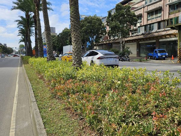 ▲新北優化景觀廊道 林口文化北路中央分隔島再升級。（圖／新北市景觀處提供）