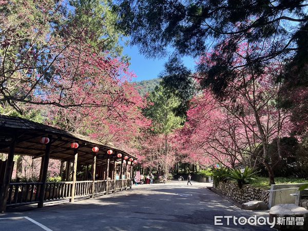 ▲▼  九族文化村  。（圖／記者高堂堯翻攝）