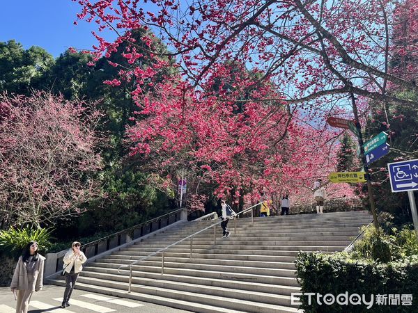 ▲▼  九族文化村  。（圖／記者高堂堯翻攝）