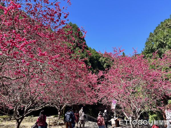 ▲▼  九族文化村  。（圖／記者高堂堯翻攝）