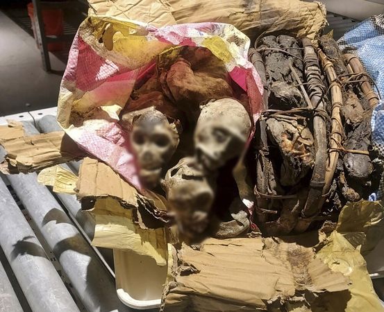 ▲▼從剛果返美的旅客行李中查獲4隻猴子的木乃伊遺骸。（圖／達志影像／美聯社）
