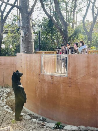 ▲▼工讀生出來！　壽山動物園台灣黑熊「全身站挺挺」和遊客拜年。（圖／翻攝自臉書粉專「Shou Shan Zoo 壽山動物園」）