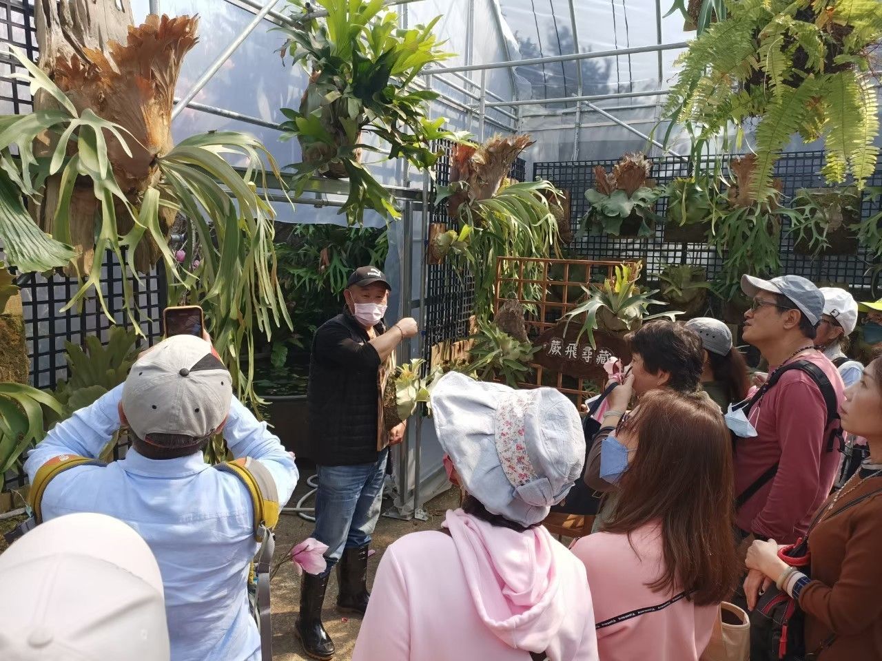 ▲滬尾休閒農業區仙境傳說 探索新北木蓮花祕密花園。（圖／新北市農業局提供）