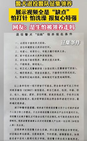 ▲退役警犬求包養「影片全是缺點」怕打針洗澡　網笑：是多怕被領養（圖／翻攝自微博／巨流視頻）