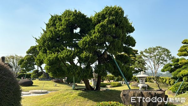 ▲▼高雄,鳥松,坔埔山,永慶不動產,透天,農舍,豪宅,住商不動產             。（圖／記者張雅雲攝）