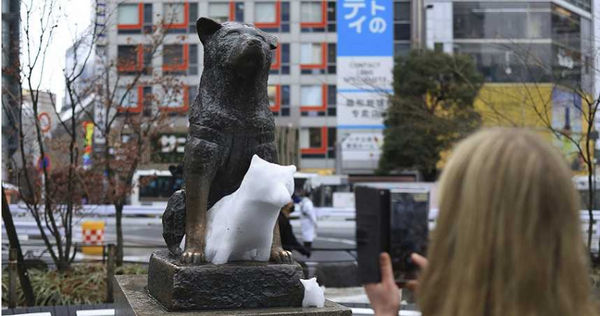 東京澀谷忠犬八公。