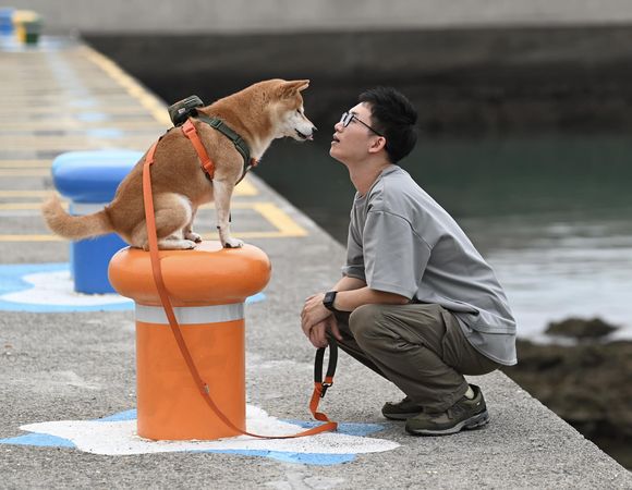 ▲▼視網膜經常在社群分享與愛犬的生活日常。（圖／翻攝自Facebook／視網膜 Retina）