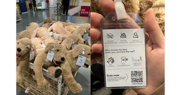 瑞典傢俱品牌IKEA（宜家家居）的黃金獵犬玩偶是熱門商品之一，網友近日發現其標籤上的隱藏彩蛋。（圖／翻攝自Dcard）