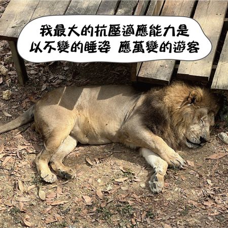 ▲壽山動物園動物工讀生。 （圖／翻攝自Facebook／Shou Shan Zoo 壽山動物園）