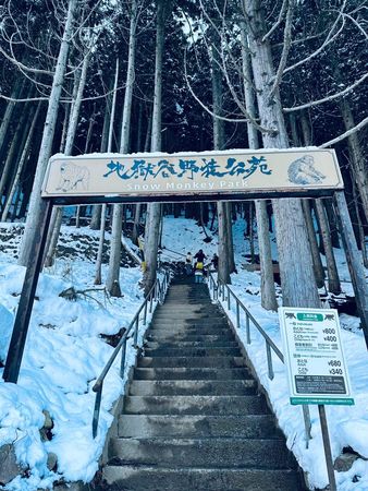 ▲▼日本自由行｜迎接雪季降臨！到長野縣滑雪前不可不知的旅遊攻略。（圖／ReadyGo提供）
