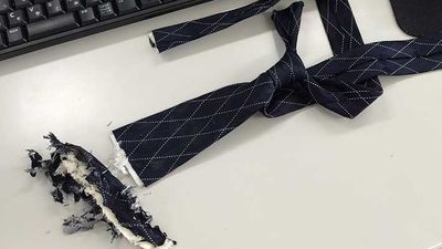 日男太專注碎紙「領帶被碎紙機捲入」嚇瘋　經理及時用剪刀喀擦：救命恩人