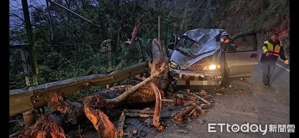 ▲▼客貨車遭樹木擊中車頭，車頂嚴重變形，王姓駕駛傷重送醫不治。（圖／新城警分局提供，下同）