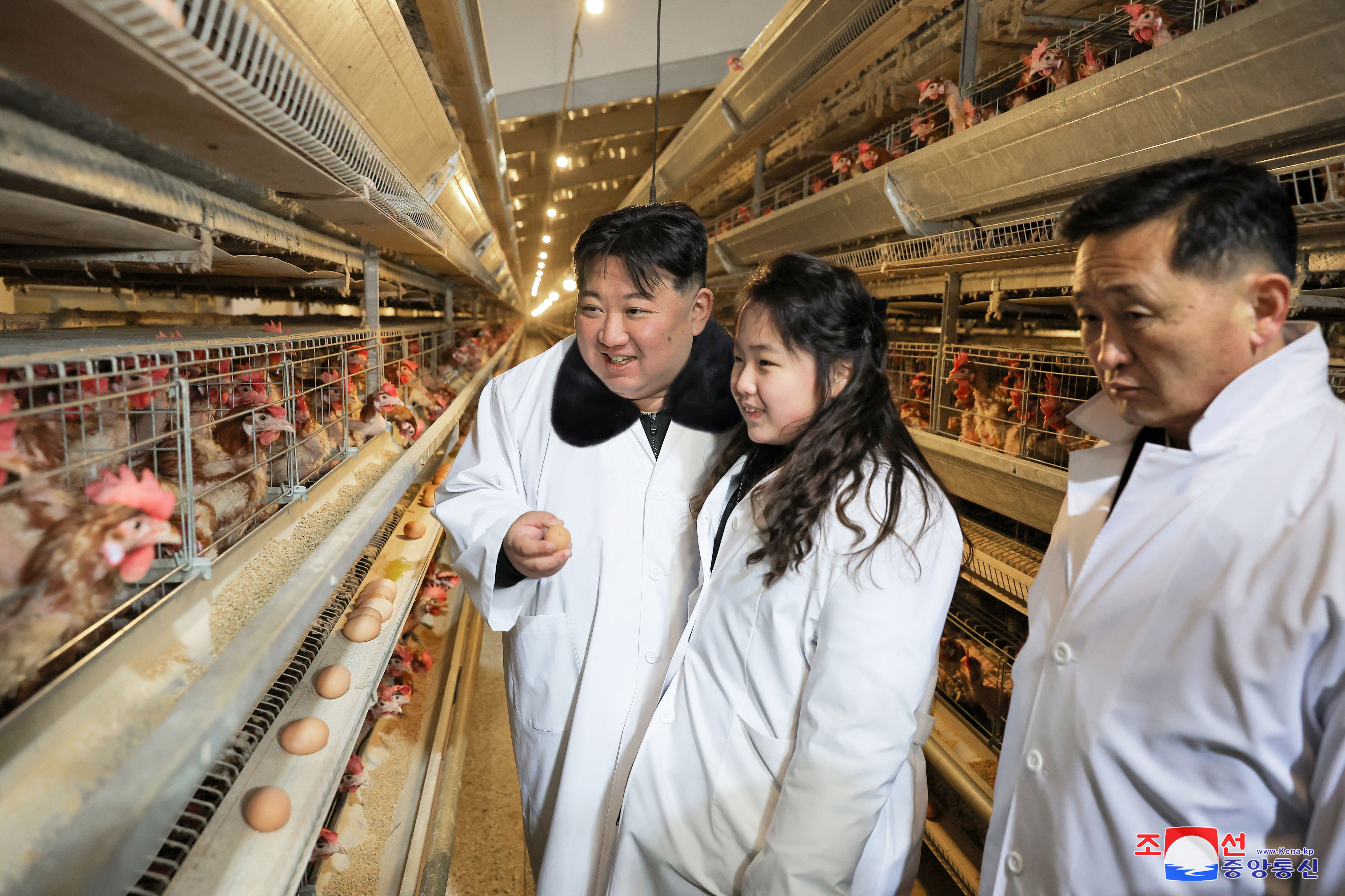 ▲▼金正恩今年1月7日帶著二女兒金主愛視察位於黃海北道的現代化雞蛋生產工廠。（圖／達志影像）