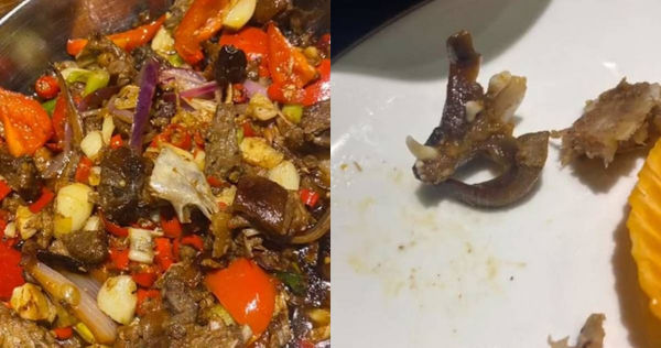 廣西網友吃乾鍋兔肉疑似吃到貓頭。（圖／翻攝微博／清流視頻）