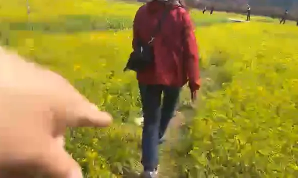 ▲▼             。（圖／）