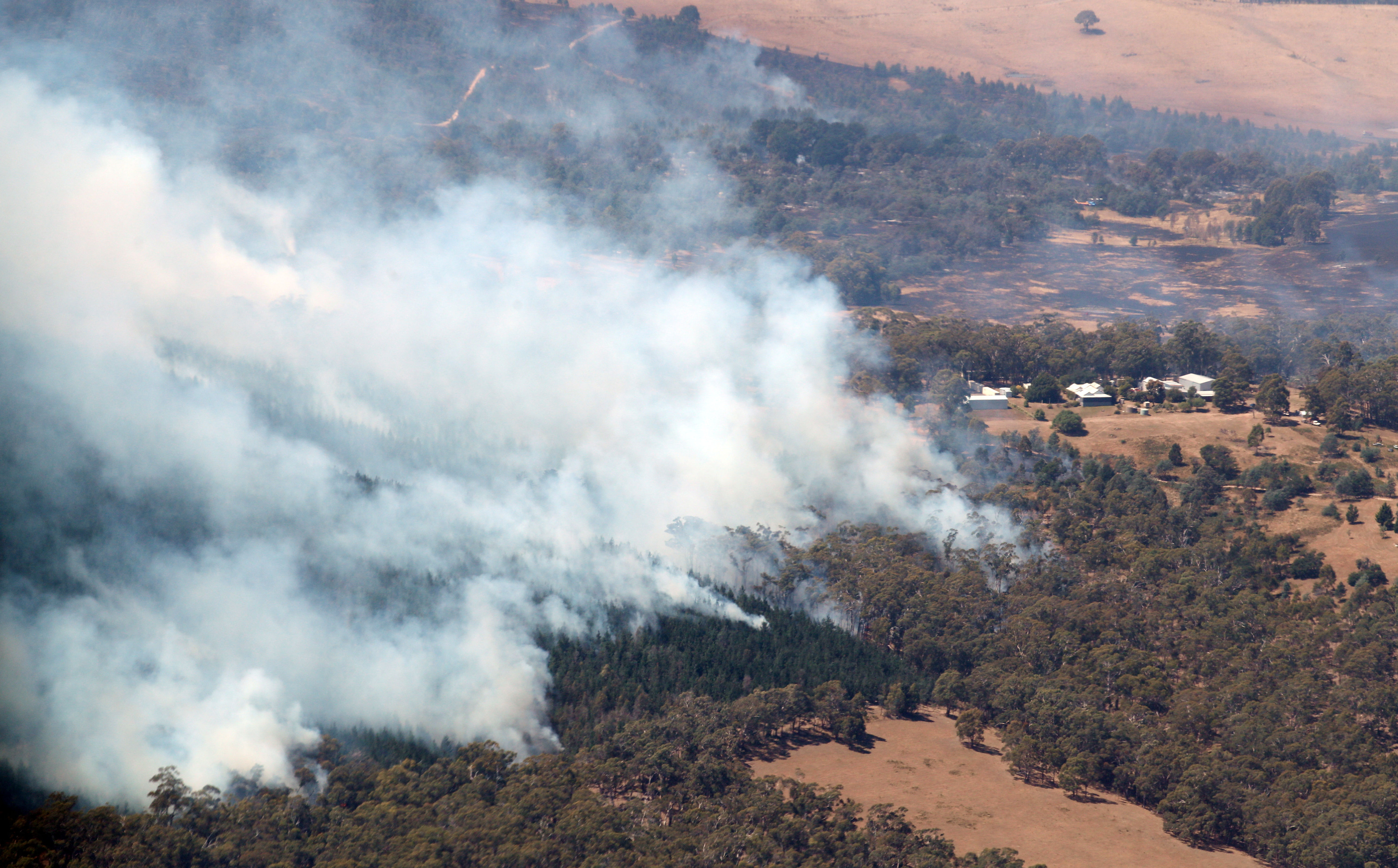 ▲▼ 澳洲維多利亞州巴拉瑞特（Ballarat）附近發生野火，冒出大量濃煙。（圖／路透）