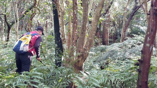 ▲無辜犬貓誤觸陷阱受傷！　動保處號召掃蕩「獸鋏、山豬吊、鳥網」。（圖／新北市動保處）