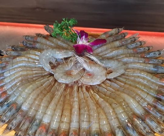 ▲泰滾Rolling Thai泰式火鍋慶祝桃園店正式開幕，3月1日至3月7日，只要出示桃園人的相關證明，今年幾歲就送幾隻蝦。。（圖／泰滾 Rolling Thai 泰式火鍋粉專）