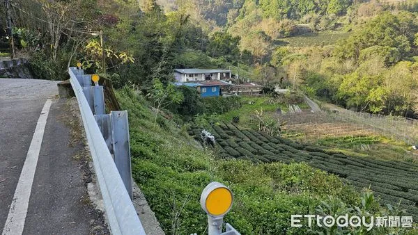 ▲▼ 阿里山達邦村自小客車翻落邊坡。（圖／記者翁伊森翻攝）