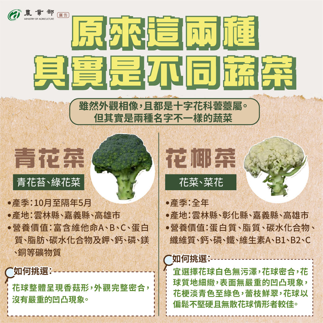 ▲農業部說明花椰菜和青花菜差異。（圖／農業部提供）