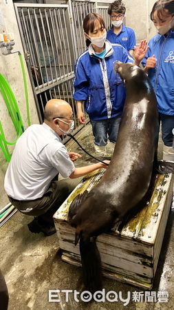 ▲▼   日本大學獸醫學科教授至嘉大動物醫院參訪　共推獸醫人才培育  。（圖／嘉義大學提供）