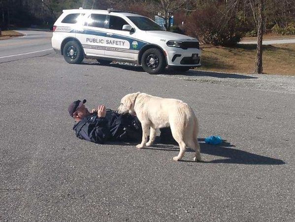 警察妙招制服逃跑狗狗。（圖／翻攝自Blue Ridge Public Safety臉書）