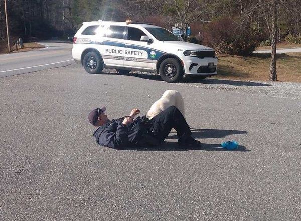警察妙招制服逃跑狗狗。（圖／翻攝自Blue Ridge Public Safety臉書）