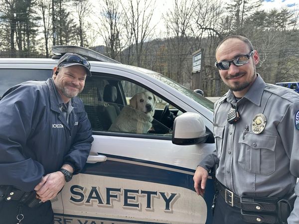 警察妙招制服逃跑狗狗。（圖／翻攝自Blue Ridge Public Safety臉書）