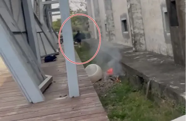 ▲▼屏東少年在縣民公園玩火。（圖／翻攝爆料公社）