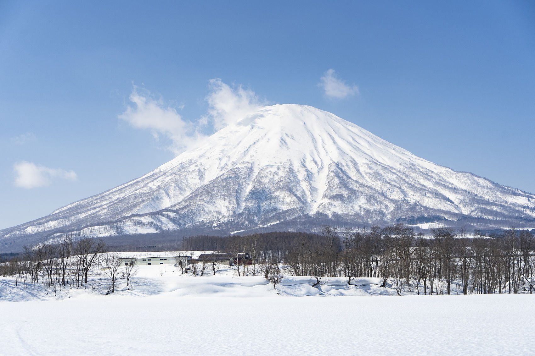 ▲▼日本北海道3日接連發生2起奪命雪崩。（示意圖／CFP）