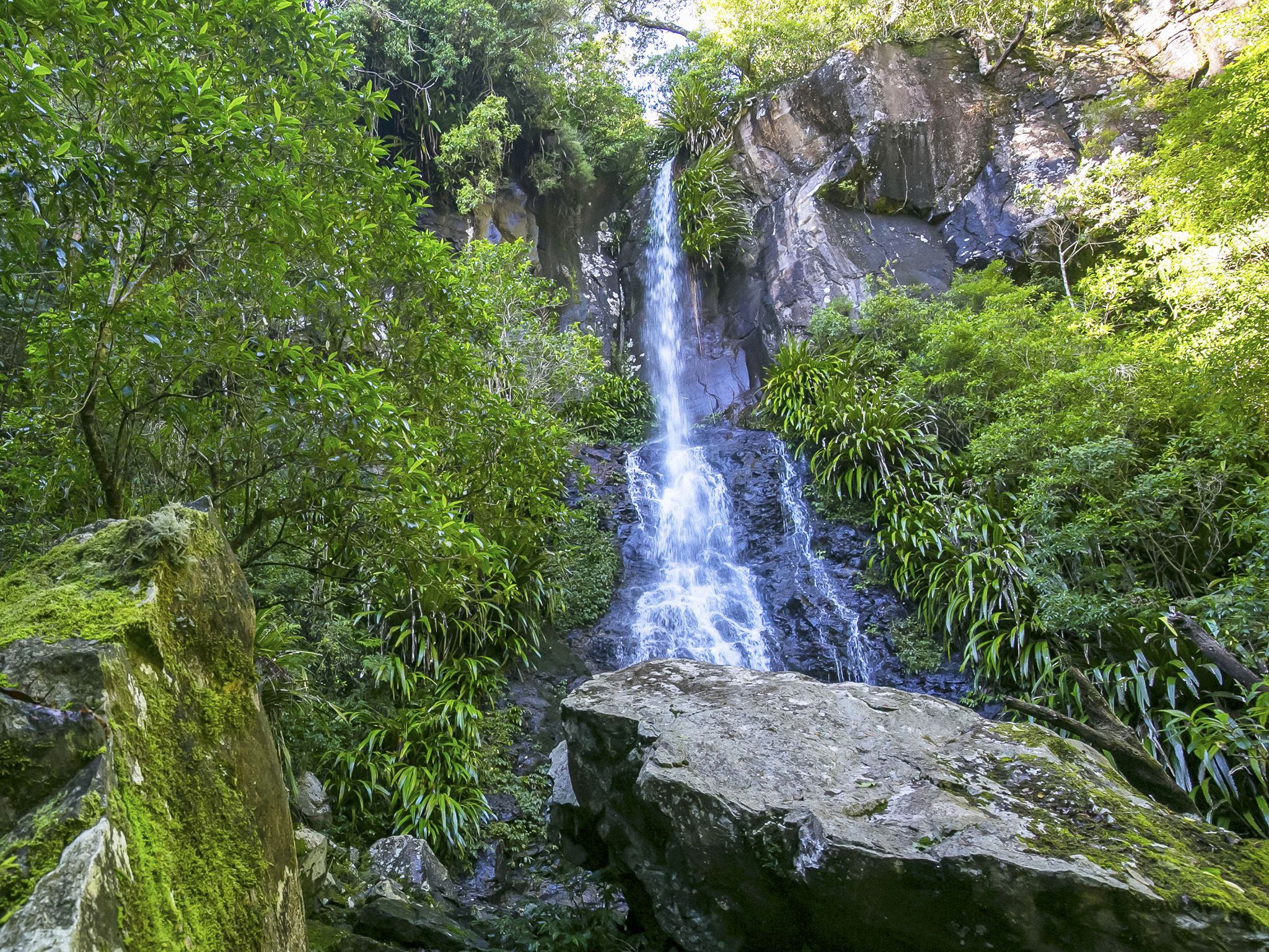 ▲▼澳洲雷明頓國家公園（Lamington National Park）以美麗的瀑布聞名。（圖／翻攝自昆士蘭政府官網）