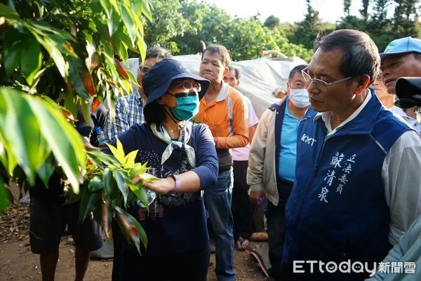 ▲蘇清泉會同縣議員盧玟欣到荔枝園了解狀況           。（圖／蘇清泉服務團隊提供，下同）