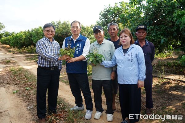 ▲蘇清泉會同縣議員盧玟欣到荔枝園了解狀況           。（圖／蘇清泉服務團隊提供，下同）