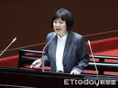 臉書因打詐被重罰逾千萬　綠委：小紅書不配合台灣法律才遭禁