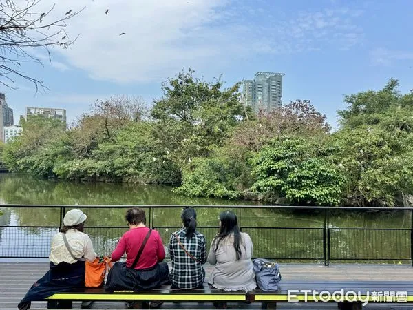 ▲「2024台北杜鵑花季」即日起至3/31在大安森林公園登場。（圖／記者彭懷玉攝）