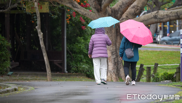 ▲▼20240306,天氣,下雨,陰天,運動場,公園。（圖／記者姜國輝攝）