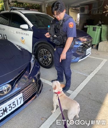 ▲貪玩法鬥犬偷跑出門迷路。（圖／中壢警分局提供，下同）