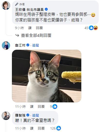 台北市議員王欣儀曬愛貓照。（圖／翻攝自Facebook／王欣儀）