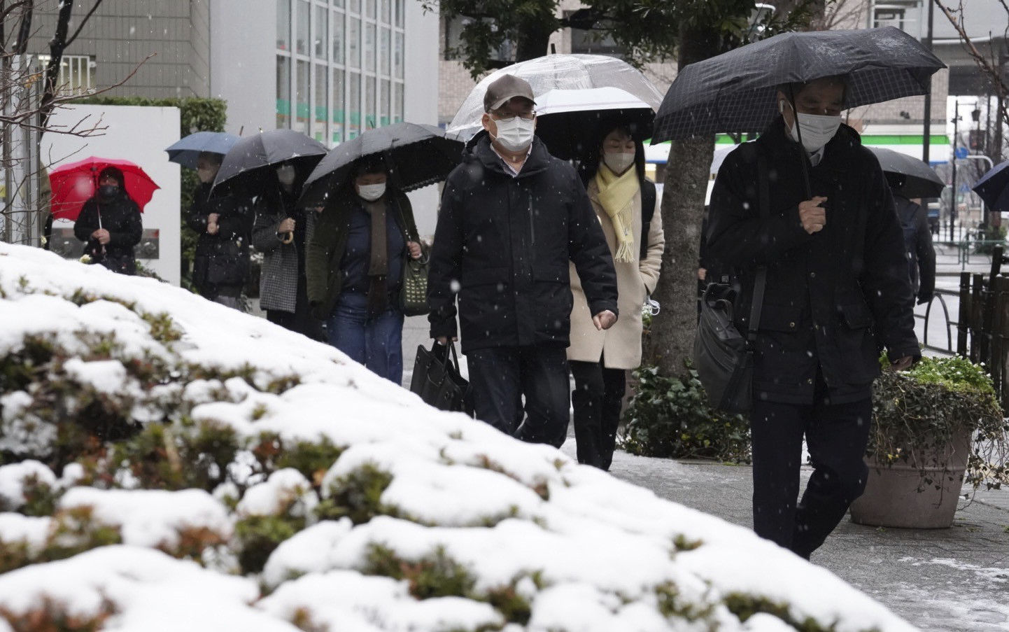 ▲▼東京下雪。（圖／達志影像／美聯社）