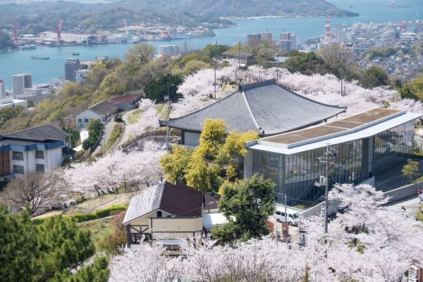 ▲▼廣島千光寺公園櫻花，廣島賞櫻景點，廣島櫻花，日本賞櫻景點，日本櫻花景點，日本櫻花旅遊，廣島旅遊，赴日賞櫻。（圖／HIT廣島縣觀光聯盟提供）