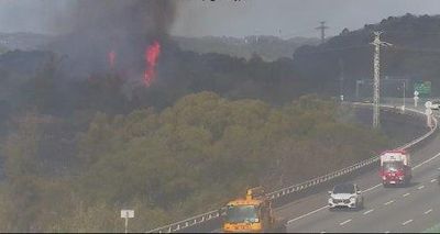 今年國道已24起火燒邊坡　31路段清明掃墓警戒