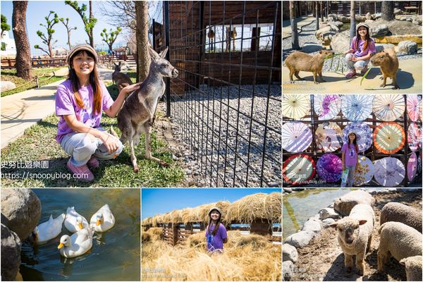 ▲▼蘭陽動植物王國　全台唯一近距離袋鼠互動餵食。（圖／部落客史努比提供）