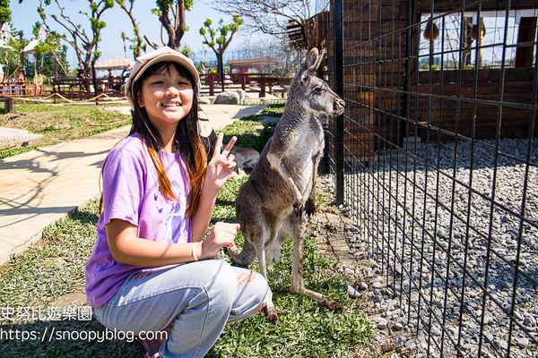 ▲▼蘭陽動植物王國　全台唯一近距離袋鼠互動餵食。（圖／部落客史努比提供）