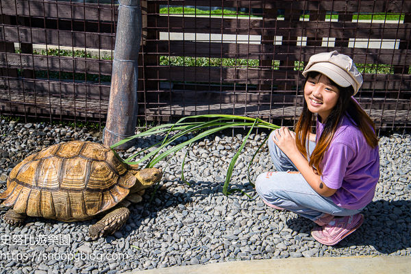 ▲▼蘭陽動植物王國　全台唯一近距離袋鼠互動餵食。（圖／部落客史努比提供）